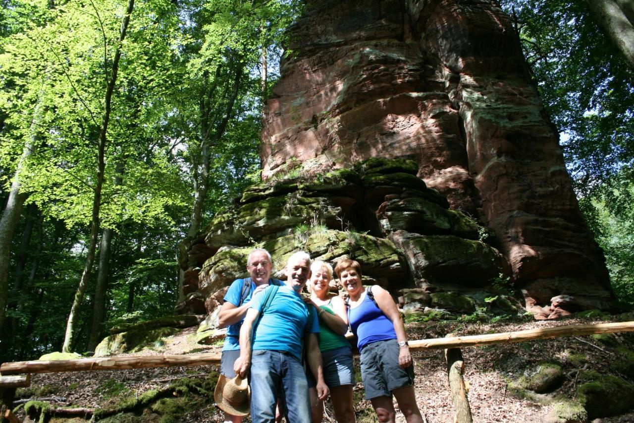 Chambre D'Hotes Petit Arnsbourg Obersteinbach ภายนอก รูปภาพ